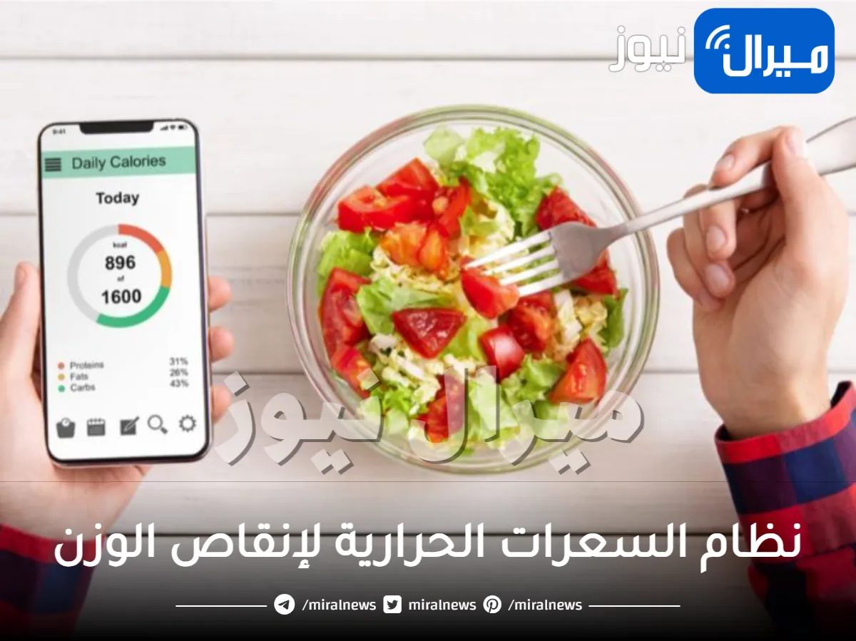 نظام السعرات الحرارية لإنقاص الوزن .. كيفية حساب نظام السعرات الحرارية