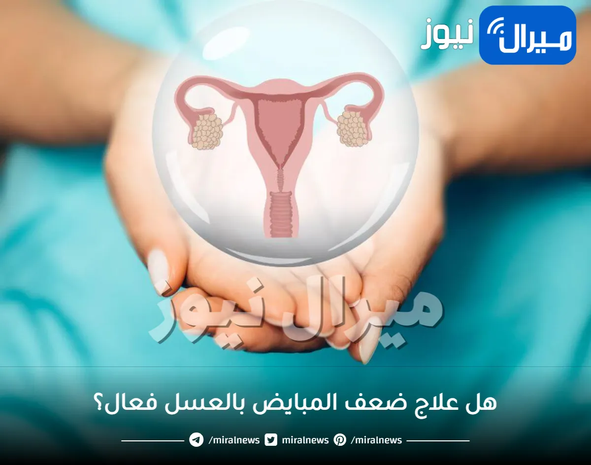 هل علاج ضعف المبايض بالعسل فعال؟