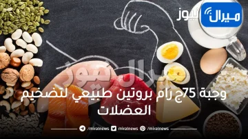وجبة 75جرام بروتين طبيعي لتضخيم العضلات ولكمال الاجسام ولزيادة الوزن وللتنشيف