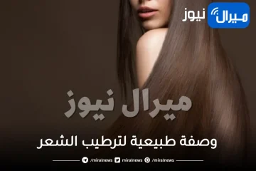 وصفة طبيعية لترطيب الشعر .. أفضل 3 وصفات طبيعية لترطيب الشعر