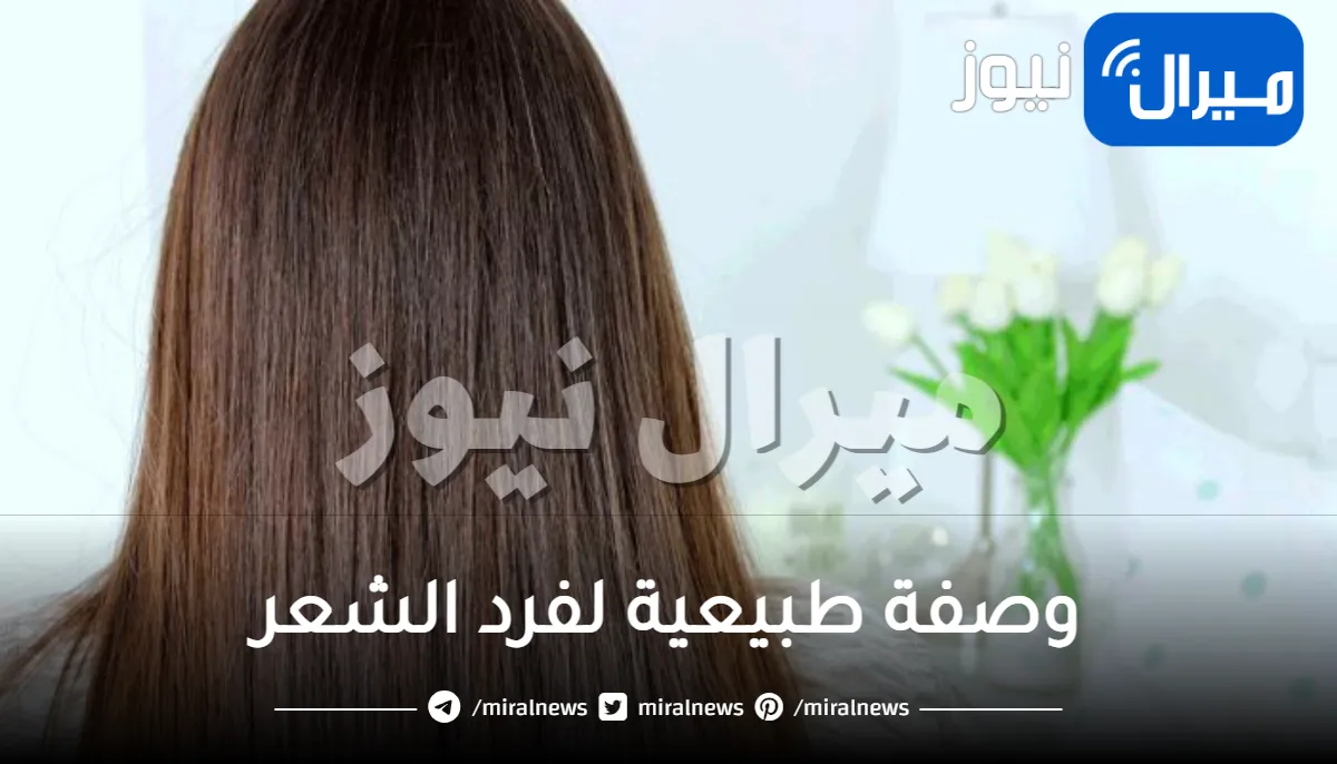 فرد الشعر طبيعي .. إليك 11 وصفة طبيعية لفرد الشعر