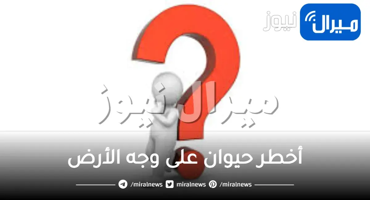 أخطر حيوان على وجه الأرض