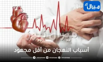 أسباب النهجان من أقل مجهود وزيادة ضربات القلب وكيفية علاجها