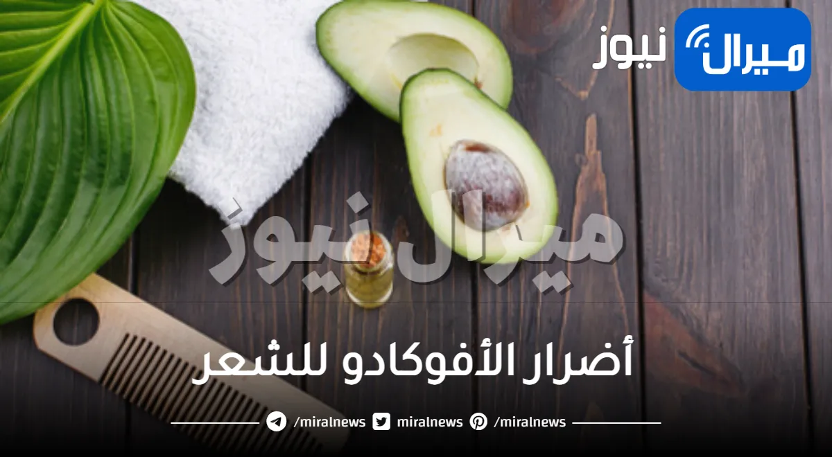أضرار الأفوكادو للشعر