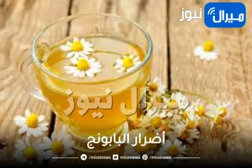 ما هى أضرار البابونج للمنطقة الحساسة