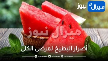 أضرار البطيخ لمرضى الكلى