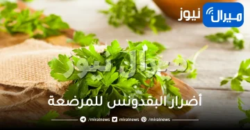 تعرفي على أضرار البقدونس للمرضعة
