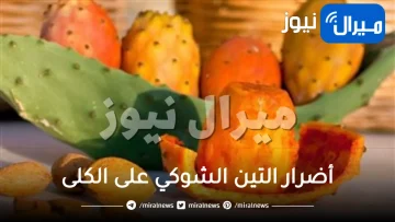 أضرار التين الشوكي على الكلى