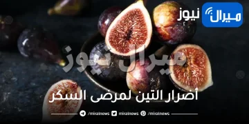 أضرار التين لمرضى السكر .. يقلل من امتصاص العناصر الغذائية في الدم