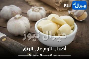 ما هى أضرار الثوم على الريق؟