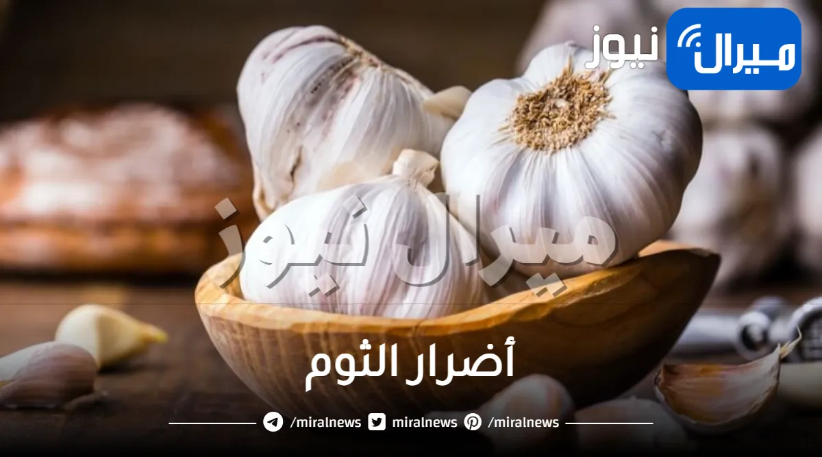 ما هى أضرار الثوم الناجمة عن الإفراط فيه؟