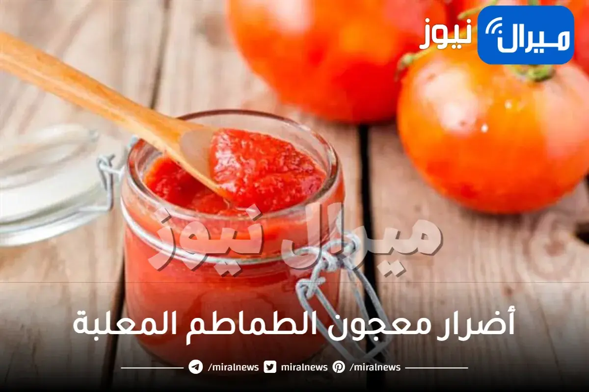 أضرار معجون الطماطم المعلبة وتأثيرها على البشرة هل تزيد الوزن ؟!!!