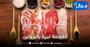ما هي أفضل الاطعمة الغنية بالبروتين