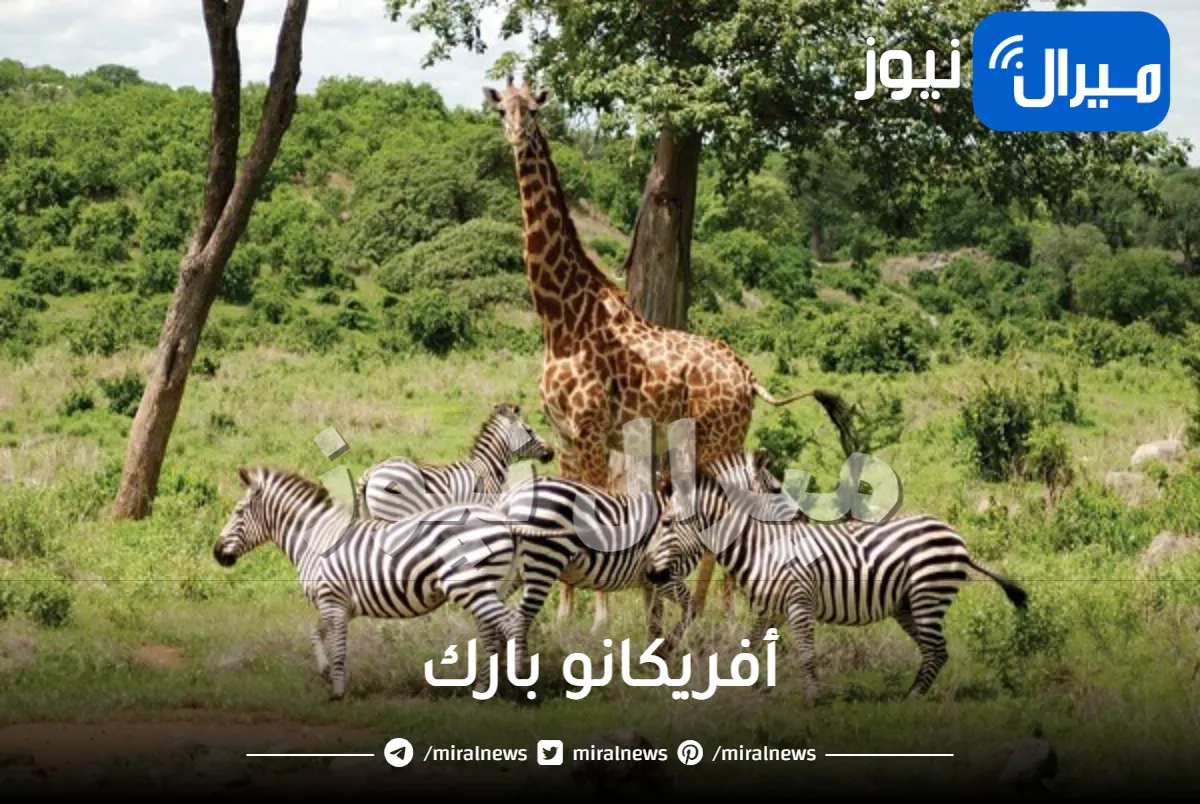 أفريكانو بارك وسعر الدخول واراء الناس فيها