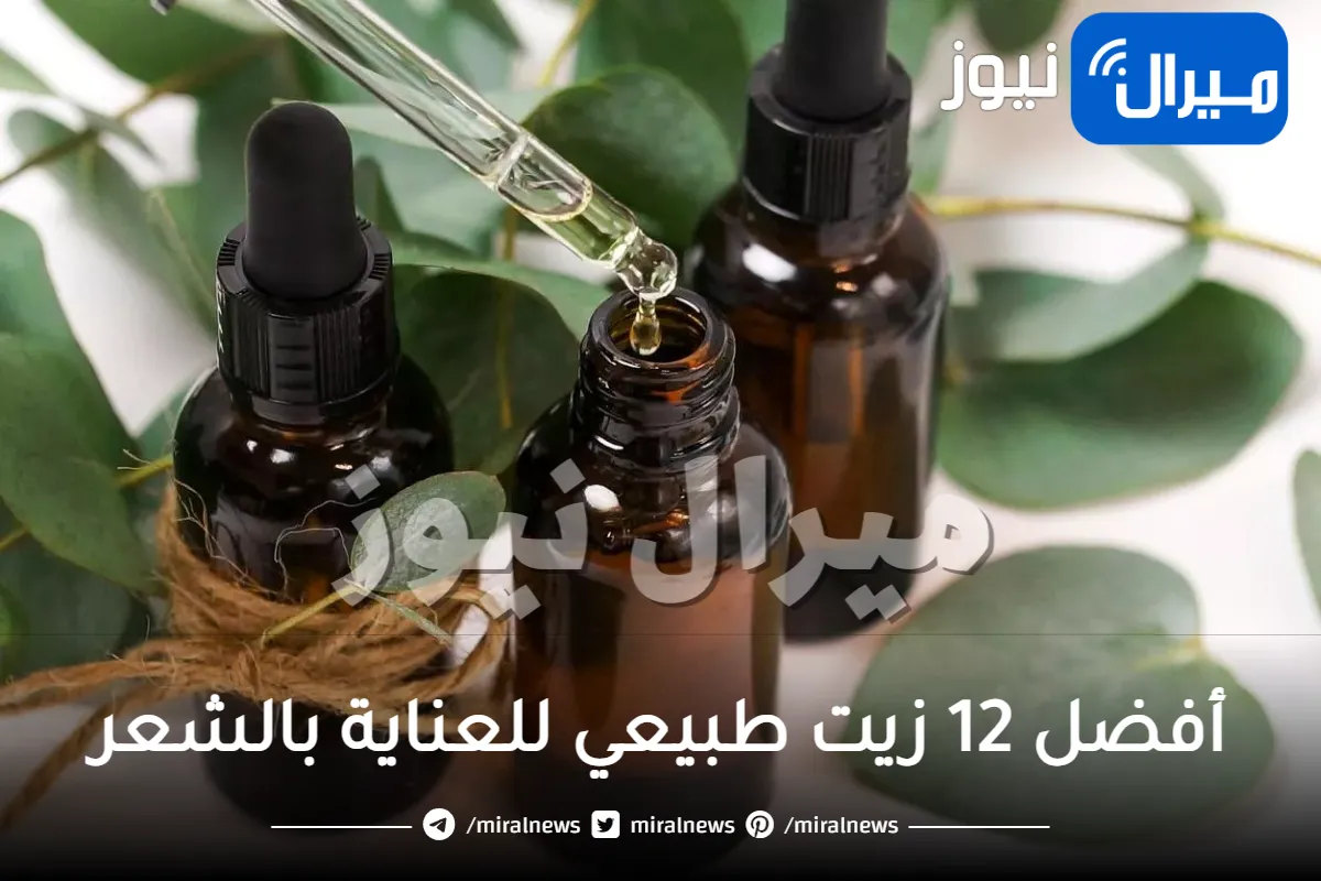 ماهي افضل الزيوت الطبيعية للشعر؟