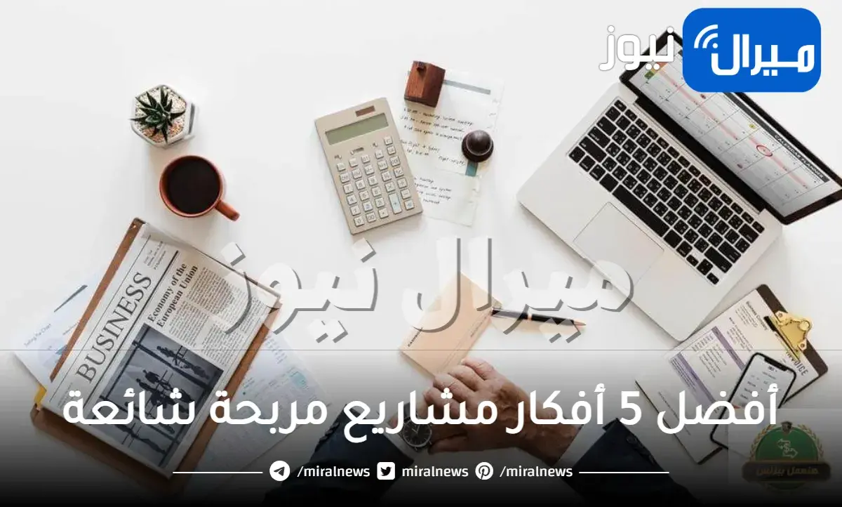 أفضل 5 أفكار مشاريع مربحة شائعة