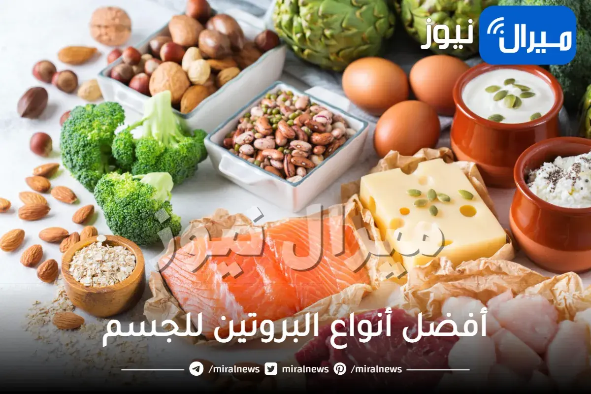 أفضل أنواع البروتين للجسم