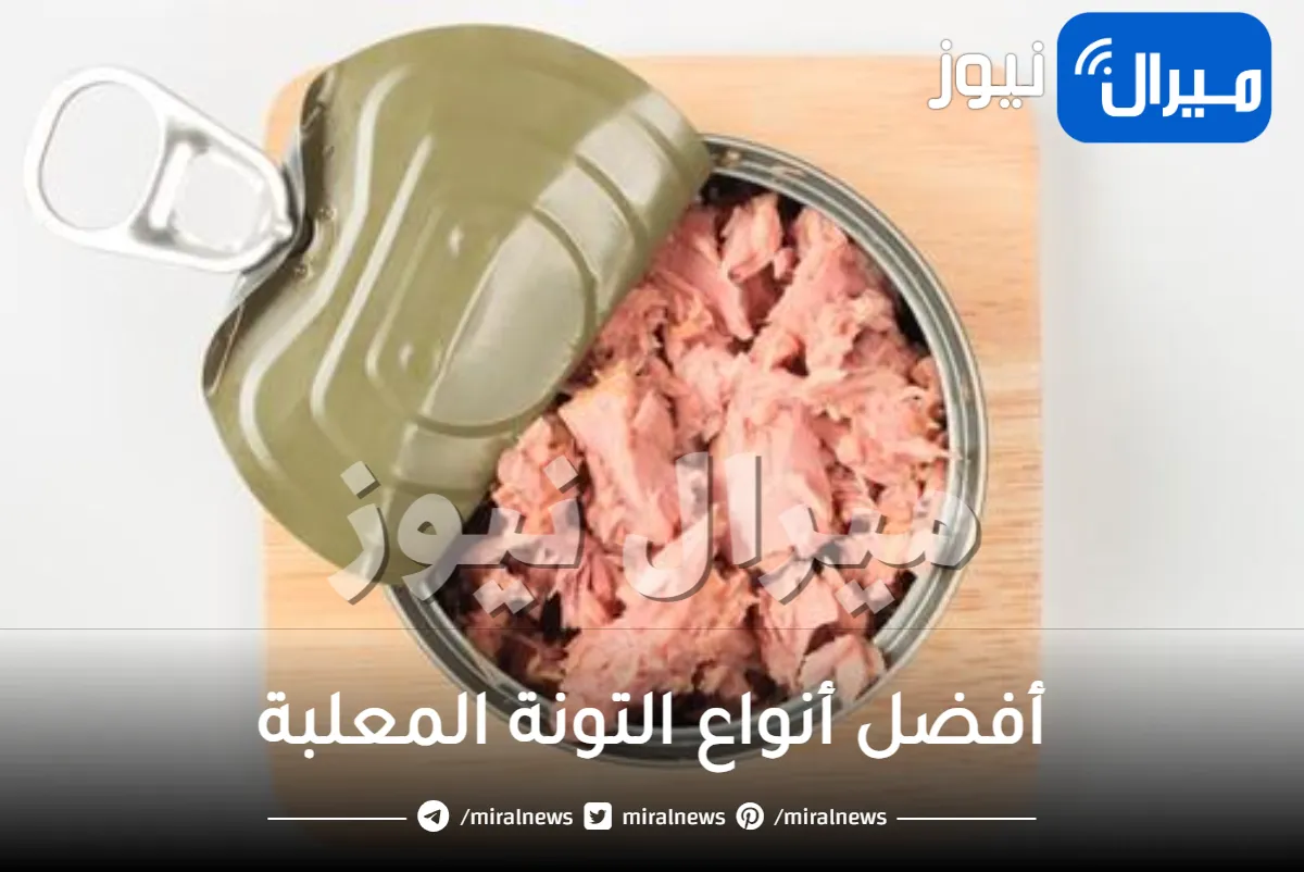أفضل أنواع التونة المعلبة