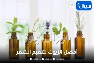 أفضل 13 زيت لتنعيم الشعر