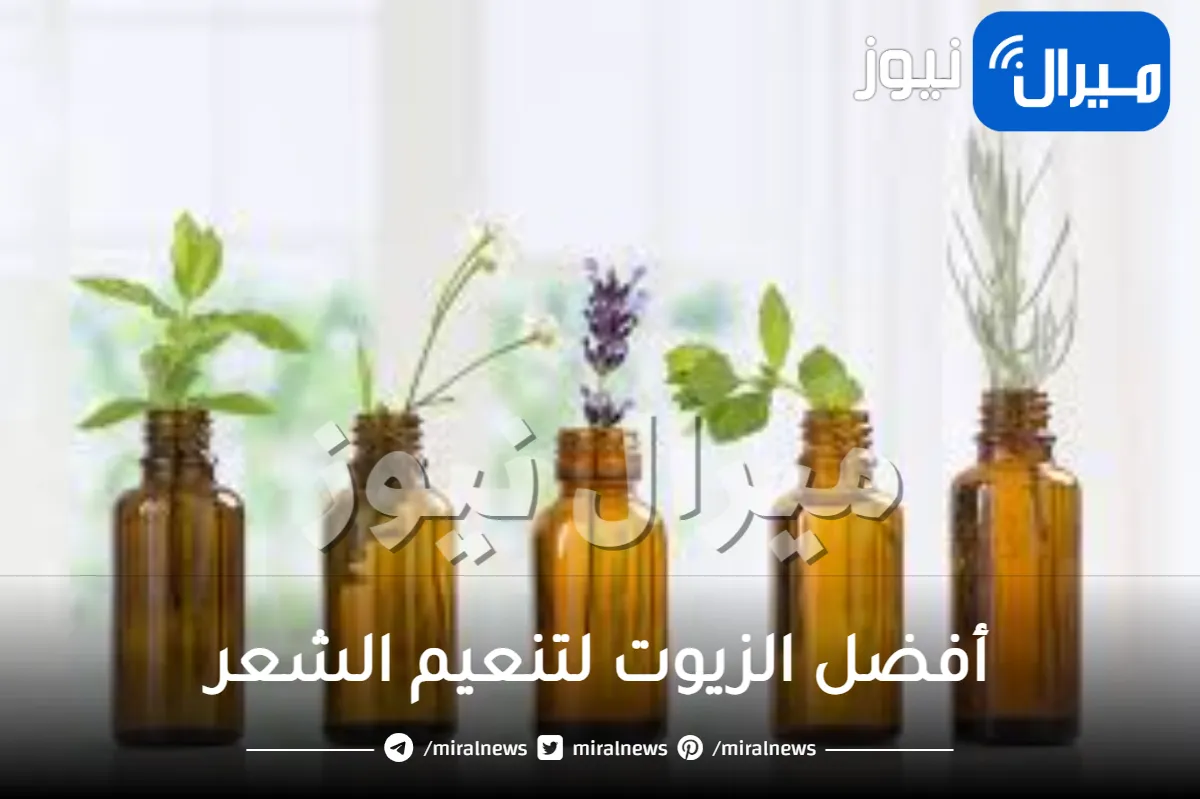 أفضل 13 زيت لتنعيم الشعر