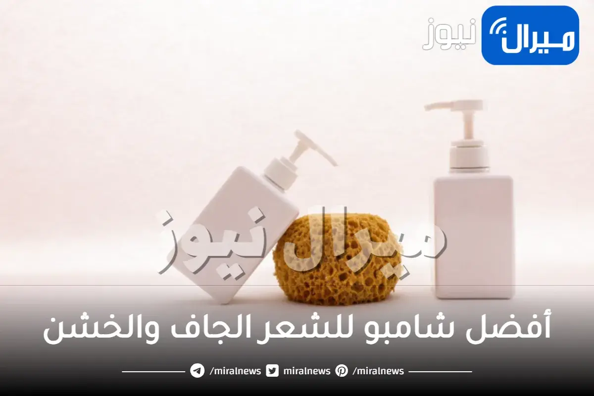 أفضل شامبو للشعر الجاف والخشن لشعر صحي بدون تقصف