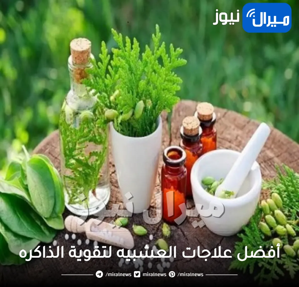 10 أعشاب لتقوية الذاكرة