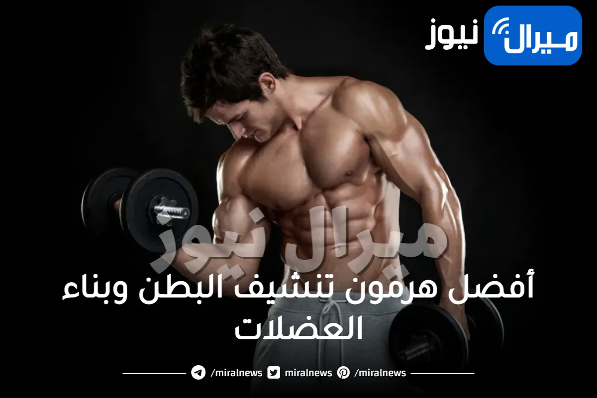 أفضل هرمون تنشيف البطن وبناء العضلات للمبتدئين