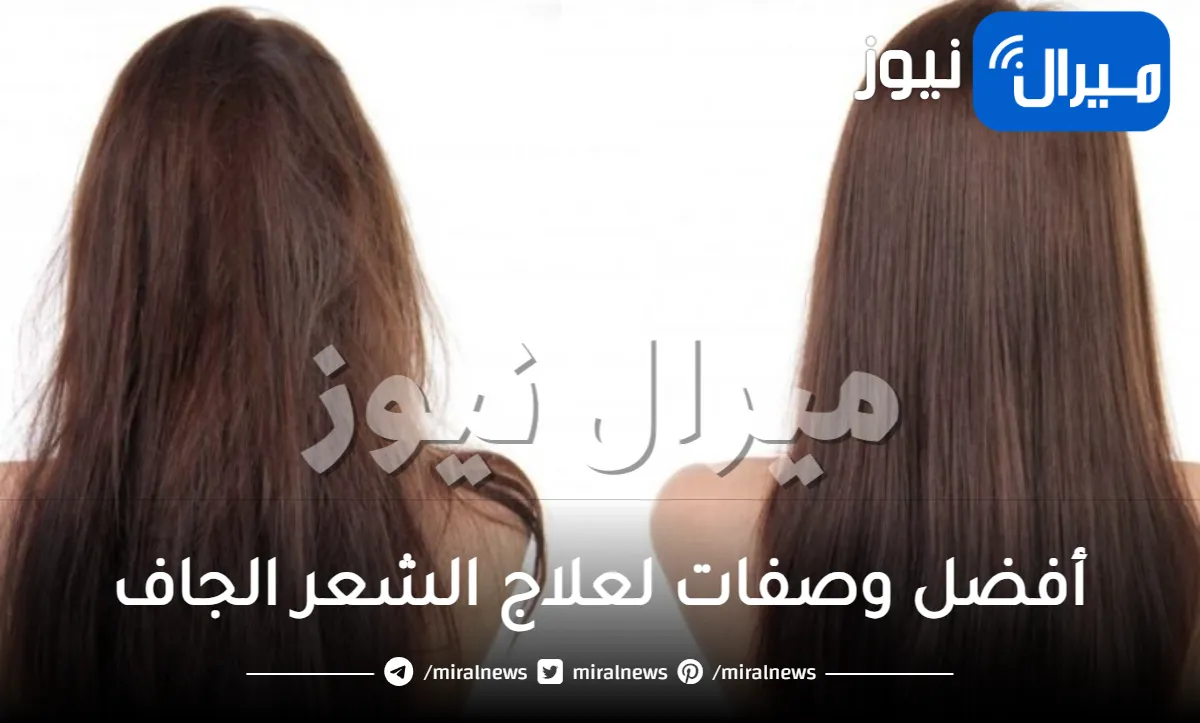 أفضل وصفات لعلاج الشعر الجاف.. 4 أقنعة للشعر الجاف