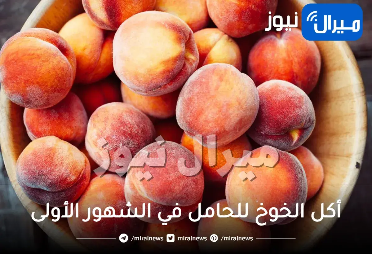 أكل الخوخ للحامل في الشهور الأولى