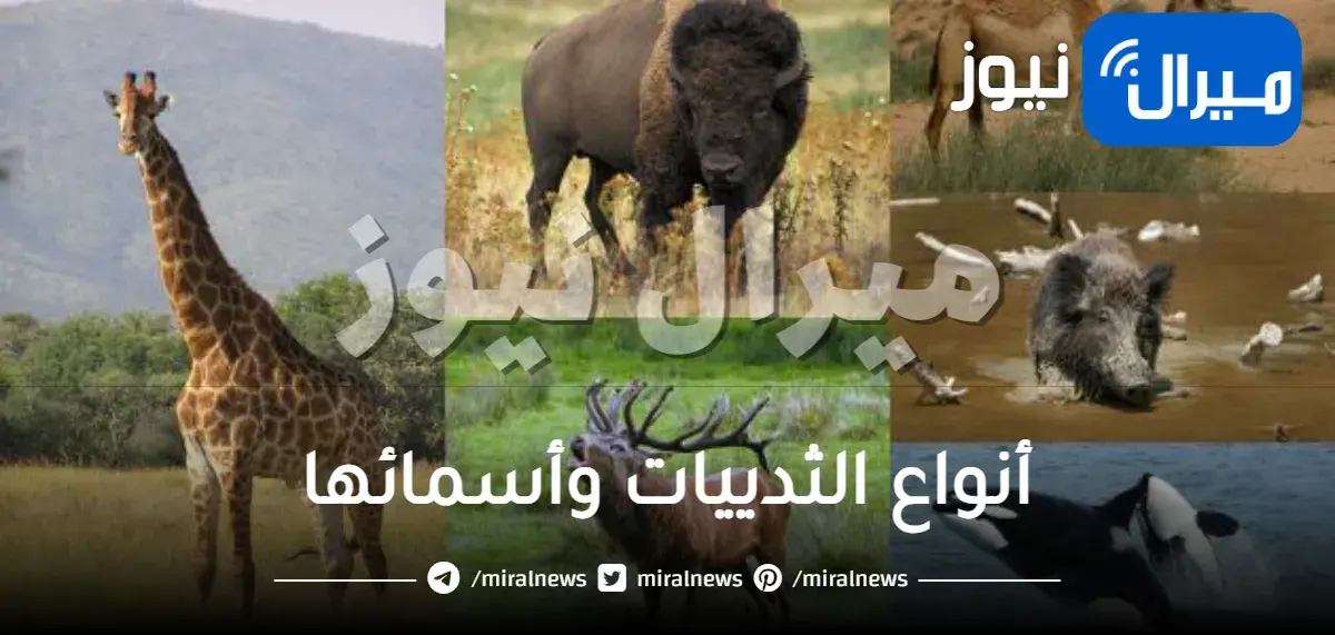 أنواع الثدييات وأسمائها