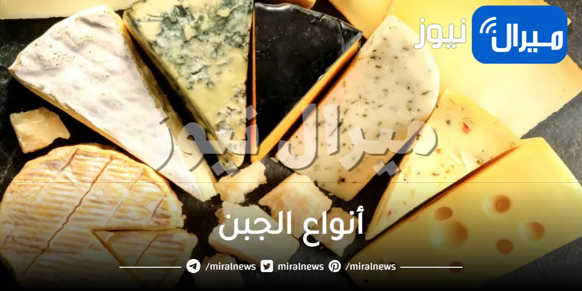 أنواع الجبن