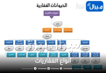 أنواع الفقاريات