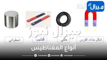 أنواع المغناطيس