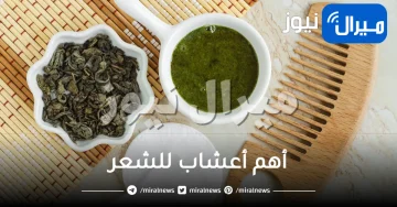 ما هي أهم أعشاب للشعر .. أفضل 10 أعشاب للشعر مُجربة