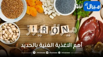 أفضل 12 نوعاً من الاطعمة الغنية بالحديد