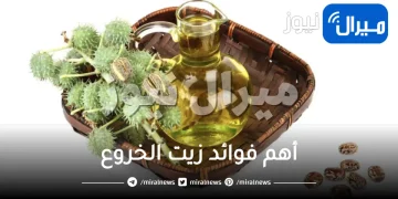 34 فائدة من فوائد زيت الخروع للشعر والبشرة والصحة