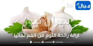 10 علاجات لازالة رائحة الثوم من الفم