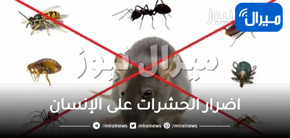 اضرار الحشرات على الإنسان … اليك أضرار أكثر 3 حشرات انتشارا
