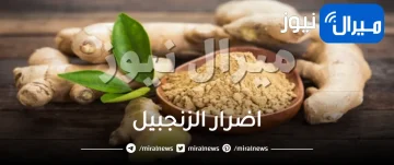 ماهي اضرار الزنجبيل