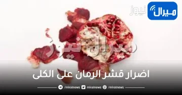 اضرار قشر الرمان على الكلى