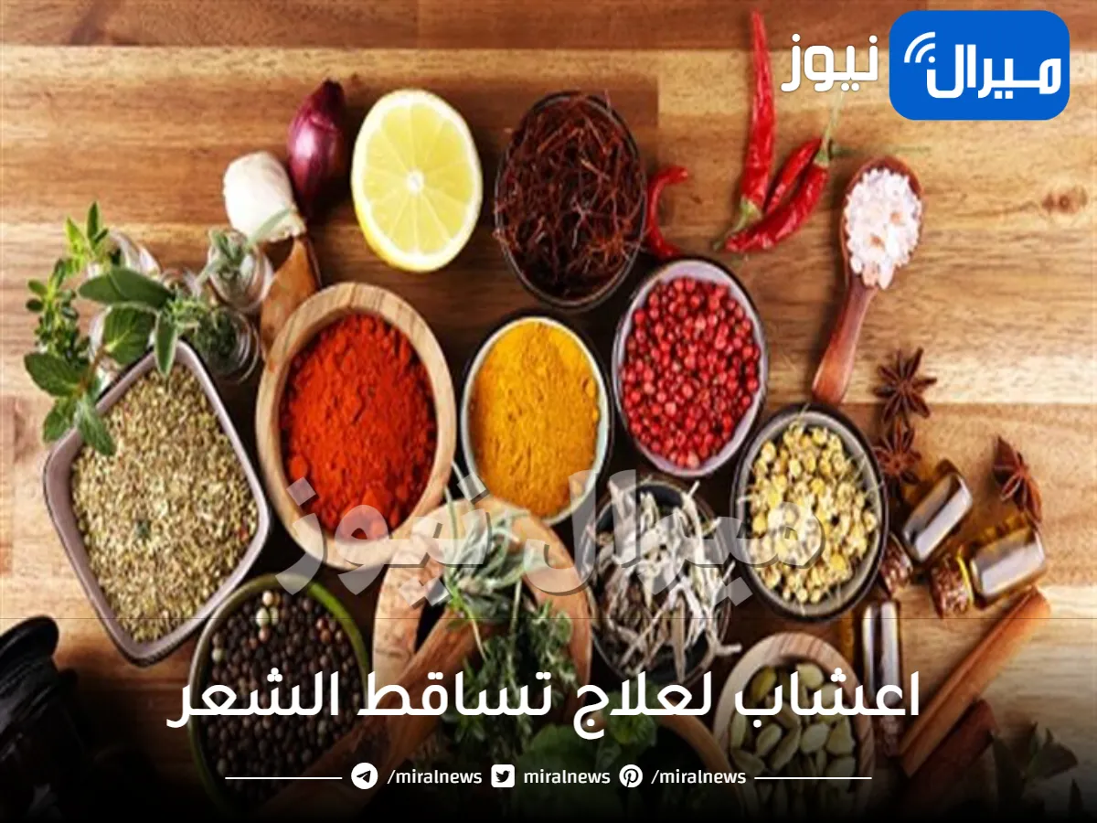 6  اعشاب لعلاج تساقط الشعر