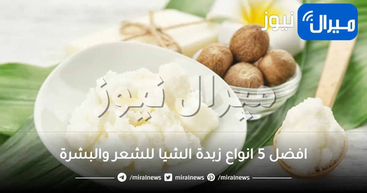 افضل 5 انواع زبدة الشيا للشعر والبشرة