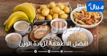 اكل صحي لزيادة الوزن .. 8 اكلات
