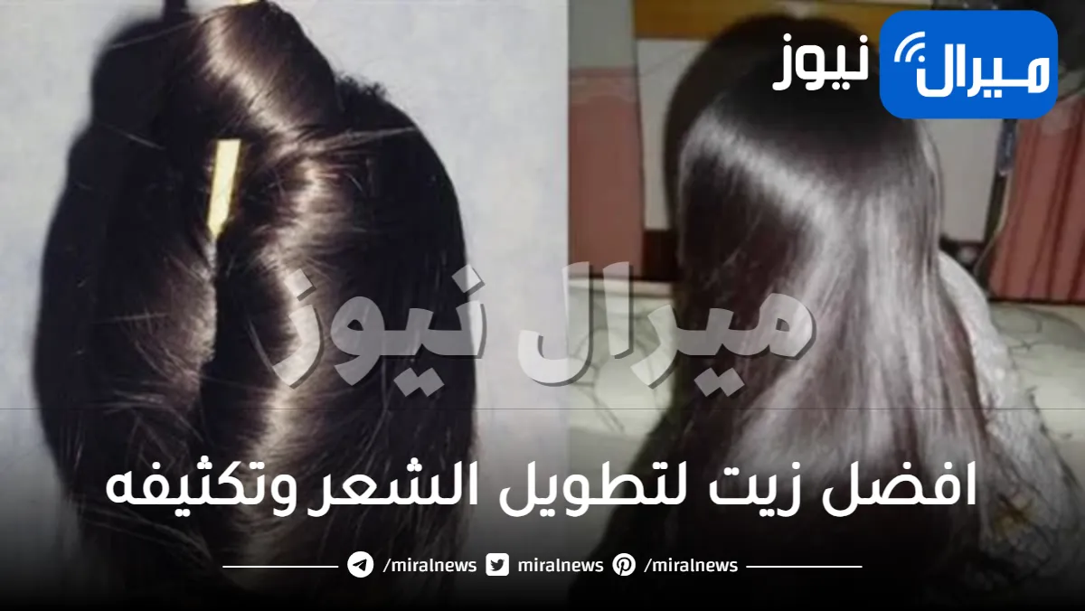 افضل زيت لتطويل الشعر وتكثيفه