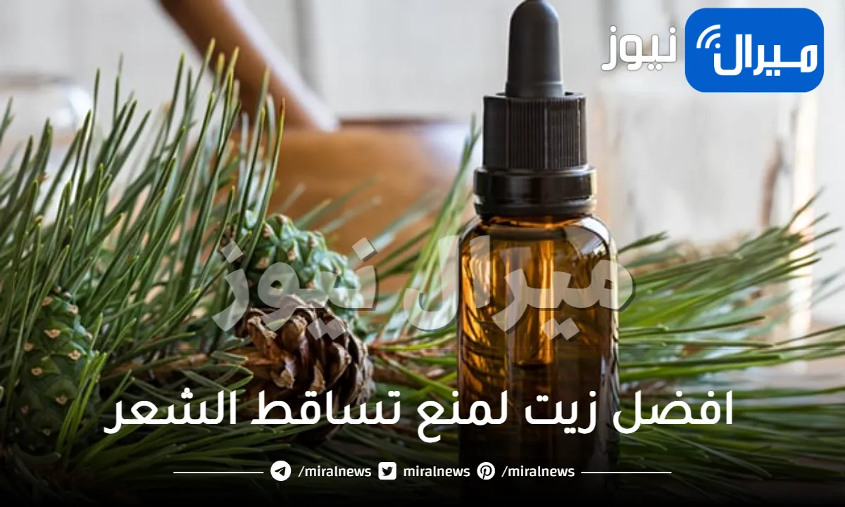 افضل زيت لمنع تساقط الشعر