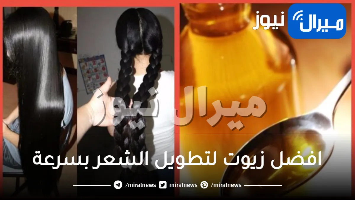 افضل زيوت لتطويل الشعر بسرعة