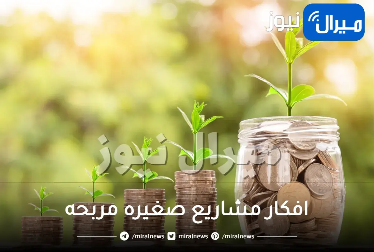 افكار مشاريع صغيره مربحه اكثر من 100 مشروع