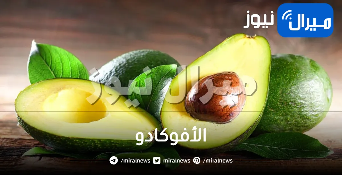 ماذا يحدث في الجسم عند تناول الأفوكادو؟