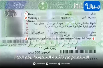 الاستعلام عن تأشيرة السعودية برقم الجواز