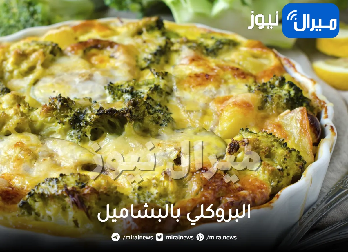 البروكلي بالبشاميل